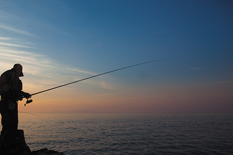 达亿瓦鱼竿测评?达亿瓦鱼竿用着舒服吗? 达亿瓦鱼竿测评?达亿瓦鱼竿用着舒服吗?
