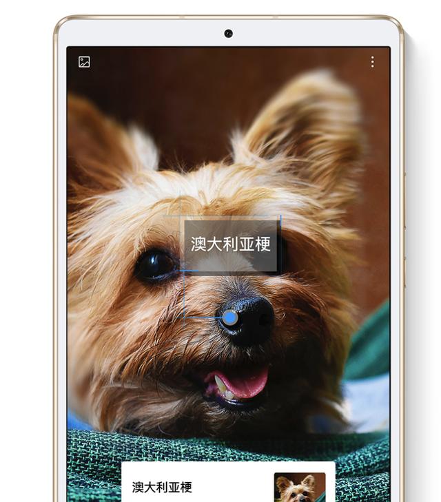 华为发布全新M6平板电脑,相较上一代主要有两点提升 华为发布全新M6平板电脑,相较上一代主要有两点提升