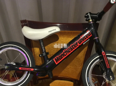 儿童平衡车哪款性价比高?谁能对比一下? 儿童平衡车哪款性价比高?谁能对比一下?