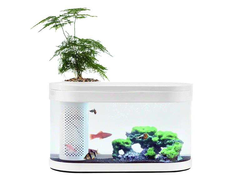画法几何鱼缸怎么样?画法几何鱼缸谁能推荐一款入门的? 画法几何鱼缸怎么样?画法几何鱼缸谁能推荐一款入门的?