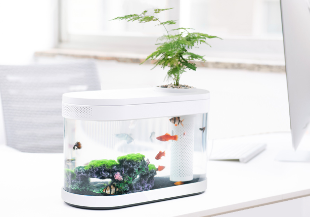 画法几何鱼缸评测?画法几何鱼缸性价比如何? 画法几何鱼缸评测?画法几何鱼缸性价比如何?