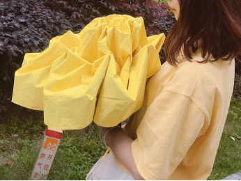 口袋元素的太阳伞防晒吗?自重轻吗? 口袋元素的太阳伞防晒吗?自重轻吗?