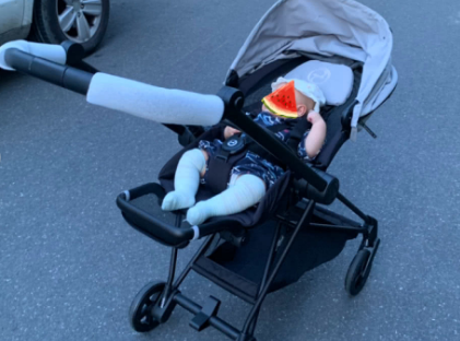 赛百斯婴儿车避震效果好吗?有什么优缺点? 赛百斯婴儿车避震效果好吗?有什么优缺点?