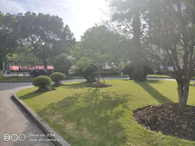 重度使用两周的vivo Z5x深度测评!这些独特体验你应该知道 重度使用两周的vivo Z5x深度测评!这些独特体验你应该知道