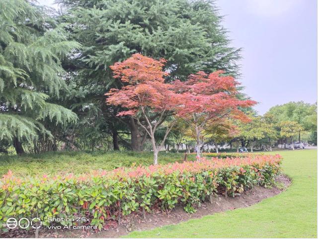 重度使用两周的vivo Z5x深度测评!这些独特体验你应该知道 重度使用两周的vivo Z5x深度测评!这些独特体验你应该知道