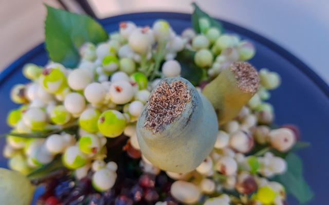 21:9带鱼屏加持的“高富帅”,摩托罗拉 P50 体验 21:9带鱼屏加持的“高富帅”,摩托罗拉 P50 体验