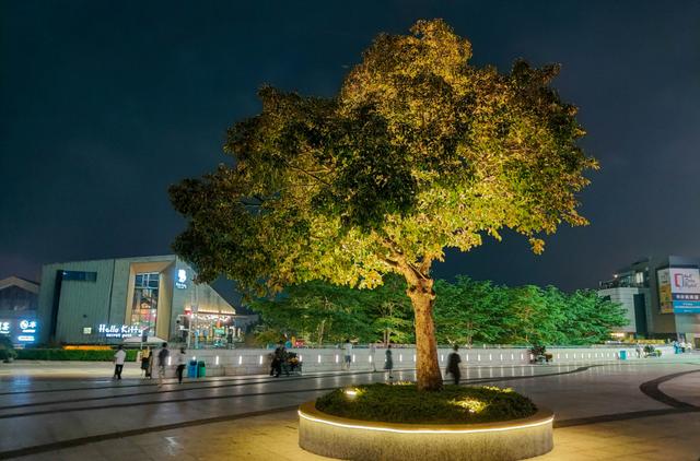 21:9带鱼屏加持的“高富帅”,摩托罗拉 P50 体验 21:9带鱼屏加持的“高富帅”,摩托罗拉 P50 体验