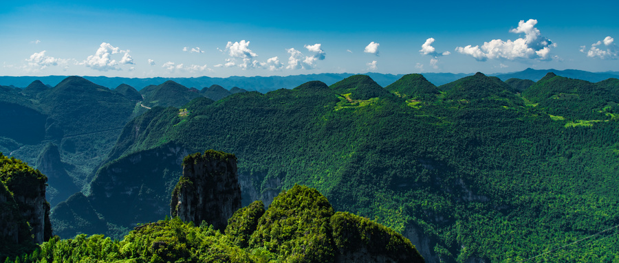 适合上班族的营养品有哪些? 适合上班族的营养品有哪些?