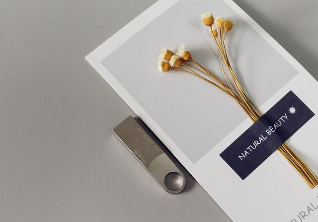 全金属、安全坚固、1元1G、美国大厂!金士顿DTSE9 G2 U盘评测 全金属、安全坚固、1元1G、美国大厂!金士顿DTSE9 G2 U盘评测