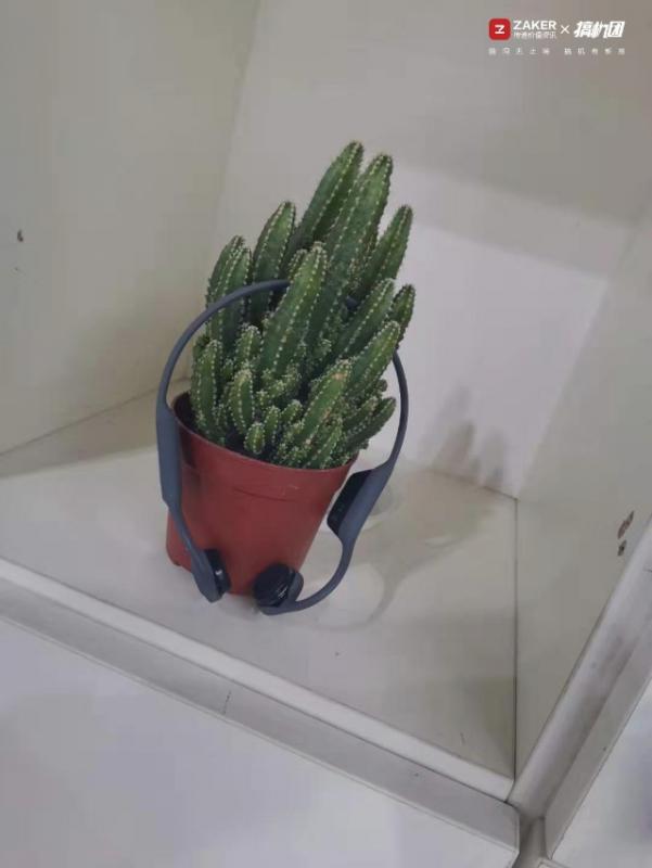 面对疾风吧——南卡骨传导运动蓝牙耳机代号疾风少年 面对疾风吧——南卡骨传导运动蓝牙耳机代号疾风少年