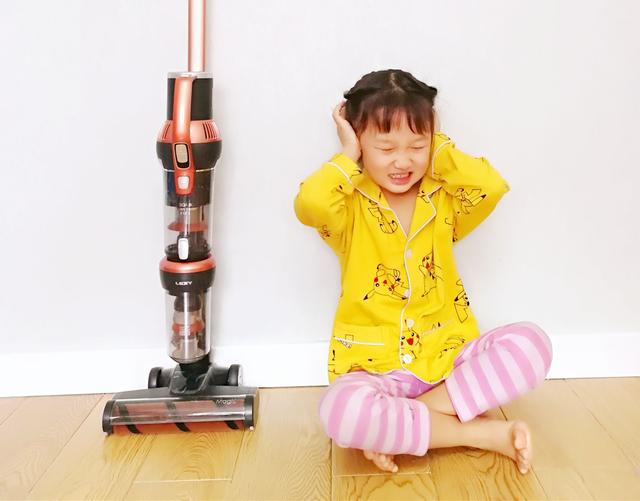 纵览选择家用吸尘器的十个要点——莱克魔洁M12S可以得满分 纵览选择家用吸尘器的十个要点——莱克魔洁M12S可以得满分