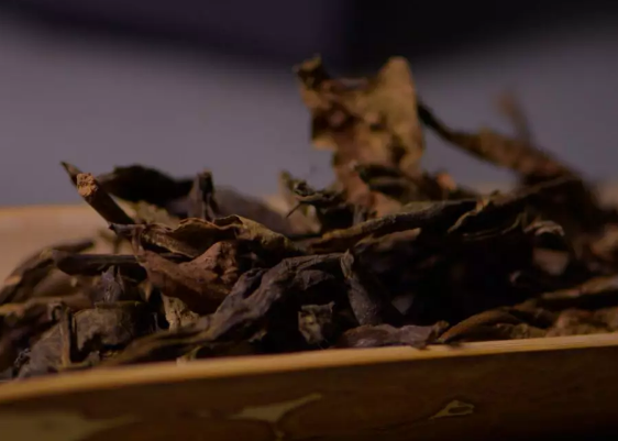 泡茶与煮茶有什么区别 煮茶器如何挑选