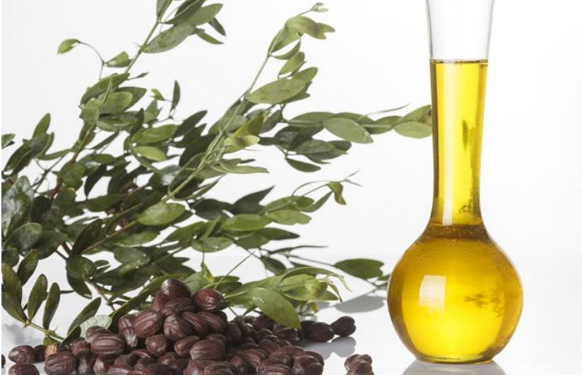 荷荷巴油可以去黑头吗 这篇小百科告诉你 荷荷巴油可以去黑头吗 这篇小百科告诉你