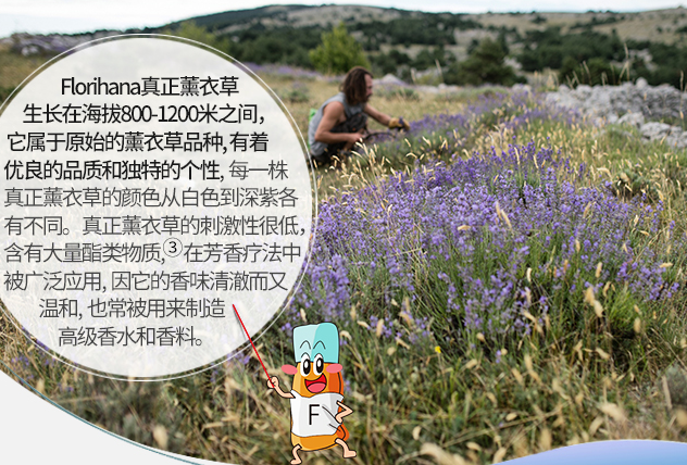 精油如何选择 使用精油有哪些注意事项 精油如何选择 使用精油有哪些注意事项