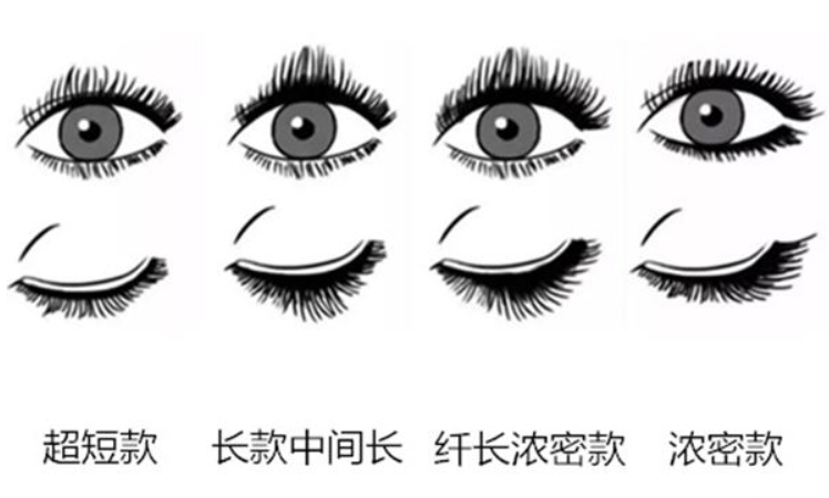 假睫毛用的好 迷人大眼少不了