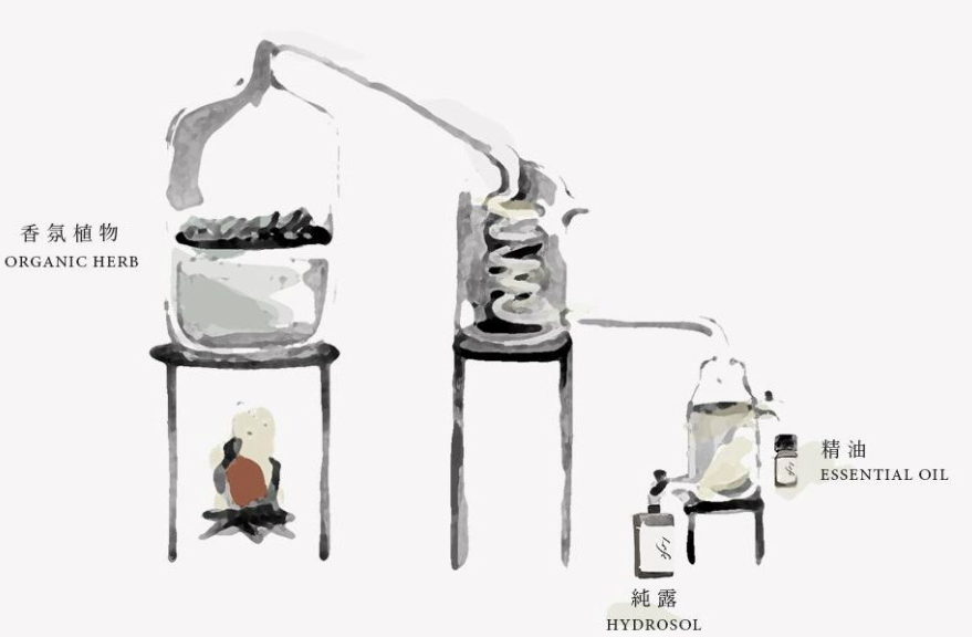 纯露小百科:纯露和爽肤水有什么不同 纯露小百科:纯露和爽肤水有什么不同