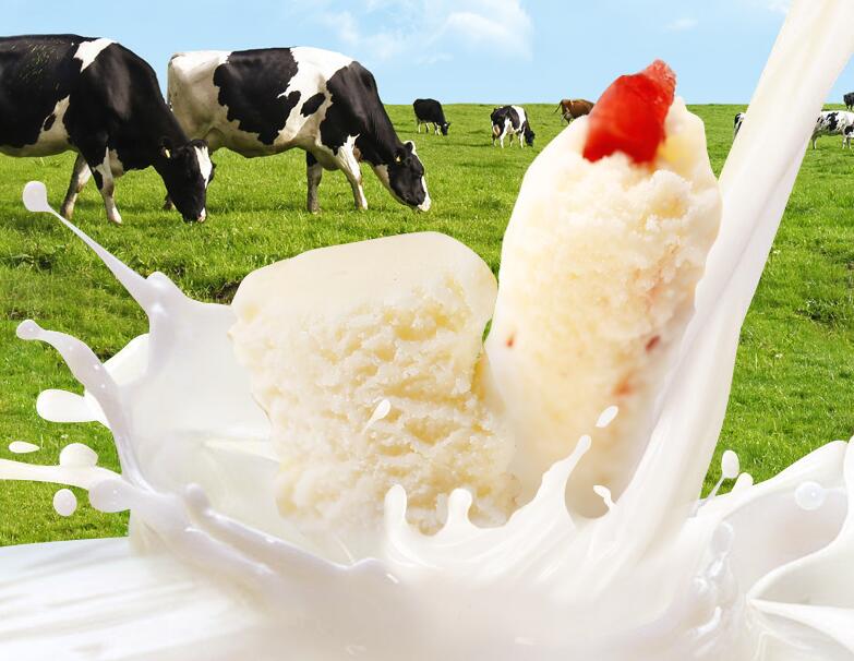 如何为宝宝选购奶酪 下面这些你一定要知道 如何为宝宝选购奶酪 下面这些你一定要知道