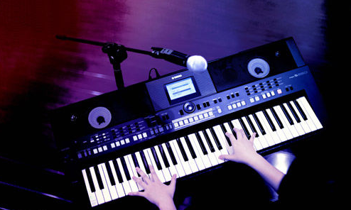 电子琴和钢琴的区别有哪些 电子琴常见故障与维修方法 电子琴和钢琴的区别有哪些 电子琴常见故障与维修方法