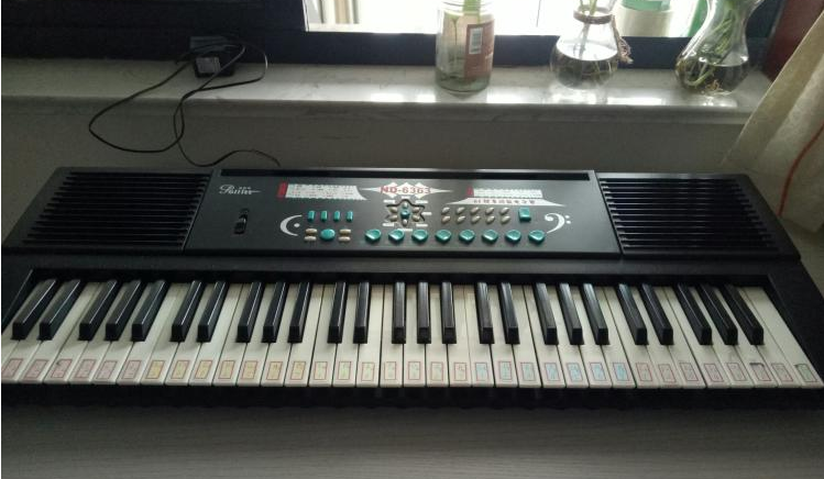 电子琴和钢琴的区别有哪些 电子琴常见故障与维修方法 电子琴和钢琴的区别有哪些 电子琴常见故障与维修方法