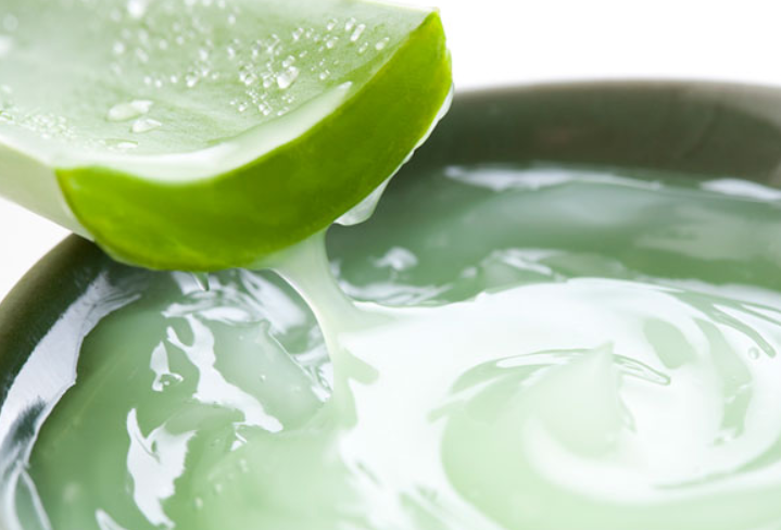 芦荟胶的作用?这个小知识你必须知道 芦荟胶的作用?这个小知识你必须知道