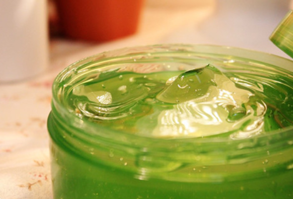 芦荟胶的作用?这个小知识你必须知道 芦荟胶的作用?这个小知识你必须知道