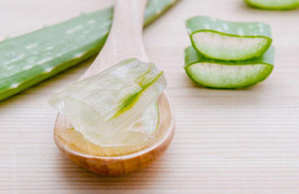 芦荟胶的作用?这个小知识你必须知道 芦荟胶的作用?这个小知识你必须知道