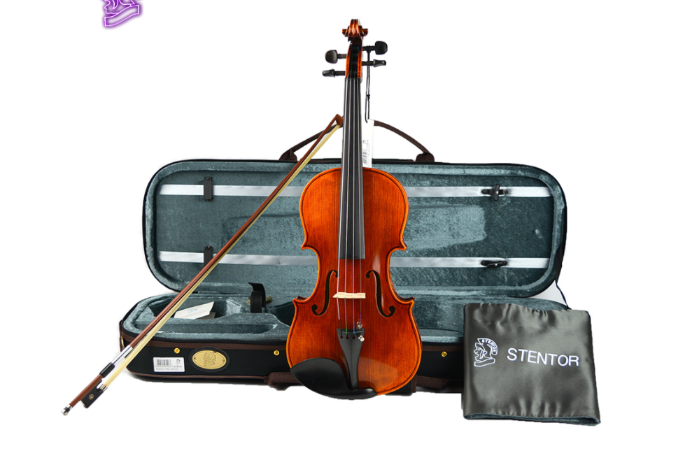 小提琴怎样选择 小提琴常见问题与解决方法 小提琴怎样选择 小提琴常见问题与解决方法