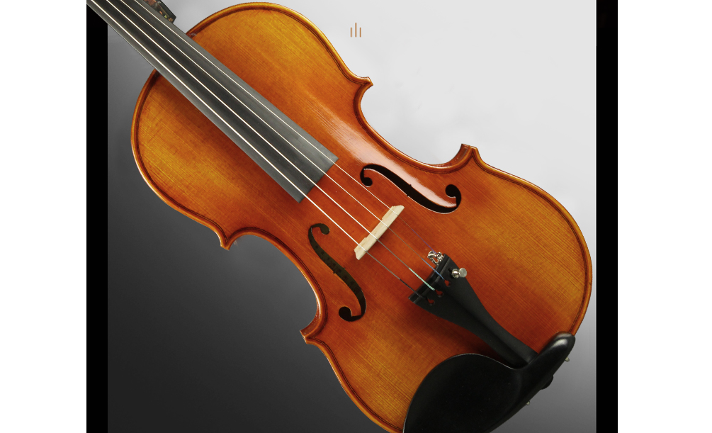 小提琴怎样选择 小提琴常见问题与解决方法 小提琴怎样选择 小提琴常见问题与解决方法