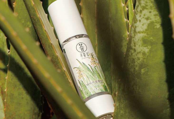 芦荟胶的作用?这个小知识你必须知道 芦荟胶的作用?这个小知识你必须知道