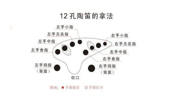 陶笛知识百科:陶笛如何学 陶笛演奏的演奏技巧 陶笛知识百科:陶笛如何学 陶笛演奏的演奏技巧