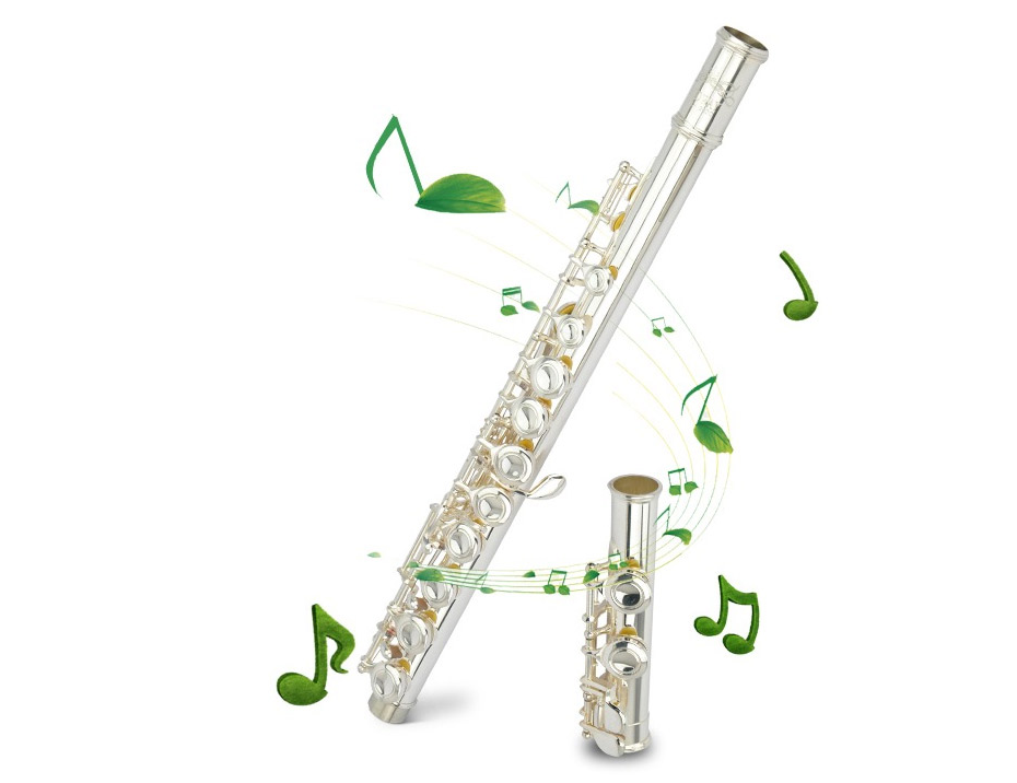 长笛初学入门指法表 长笛与短笛有哪些区别 长笛初学入门指法表 长笛与短笛有哪些区别