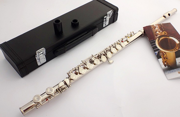 长笛初学入门指法表 长笛与短笛有哪些区别 长笛初学入门指法表 长笛与短笛有哪些区别