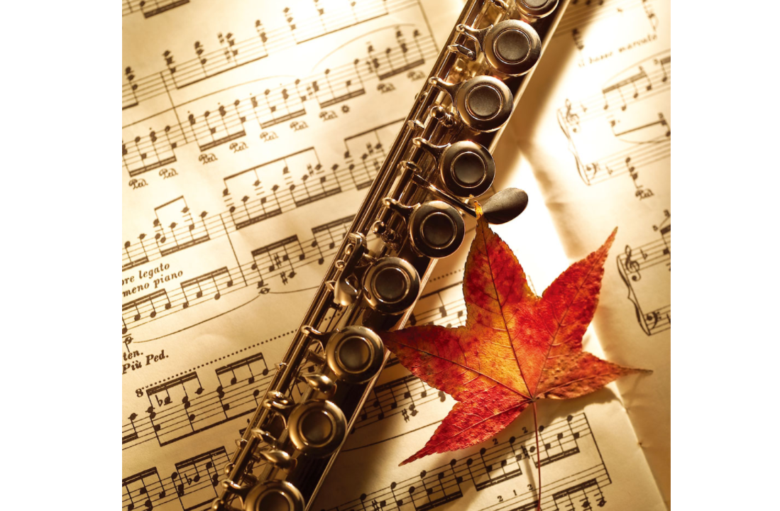 长笛初学入门指法表 长笛与短笛有哪些区别 长笛初学入门指法表 长笛与短笛有哪些区别