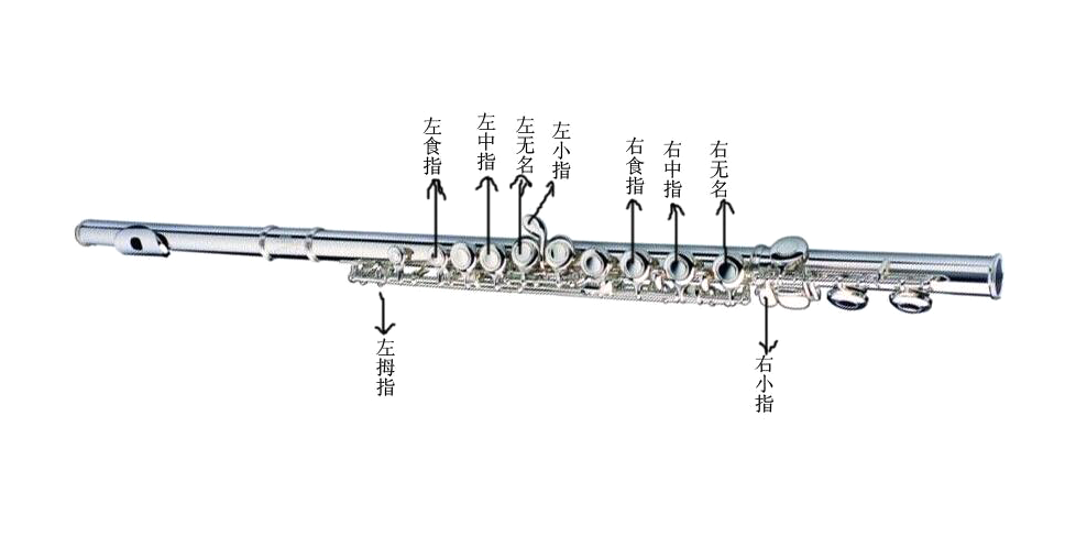 长笛初学入门指法表 长笛与短笛有哪些区别