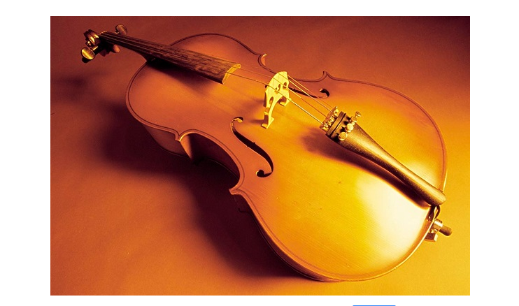 大提琴知识攻略大全 大提琴与小提琴的区别 大提琴知识攻略大全 大提琴与小提琴的区别