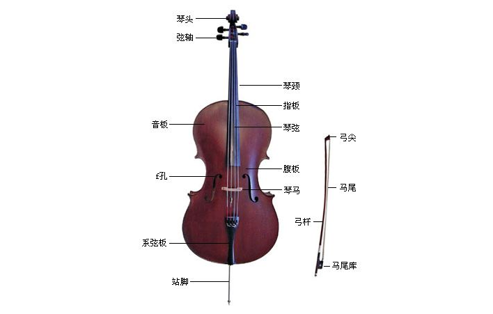大提琴知识攻略大全 大提琴与小提琴的区别