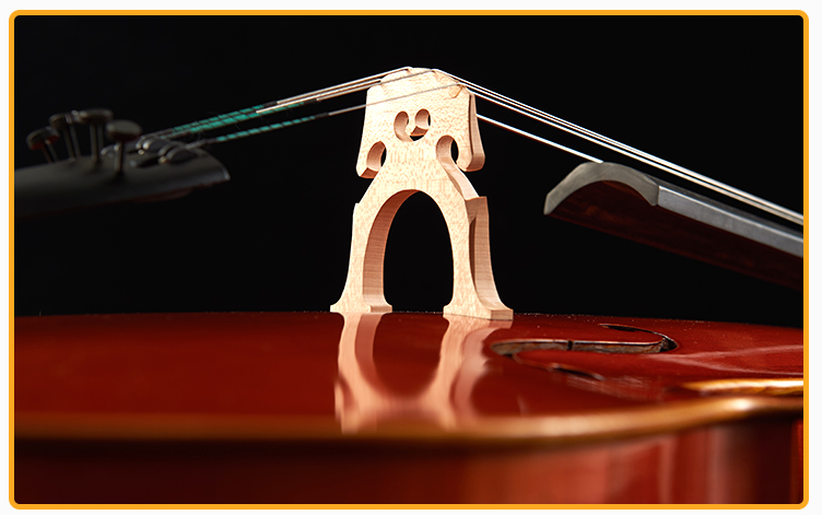大提琴知识攻略大全 大提琴与小提琴的区别 大提琴知识攻略大全 大提琴与小提琴的区别