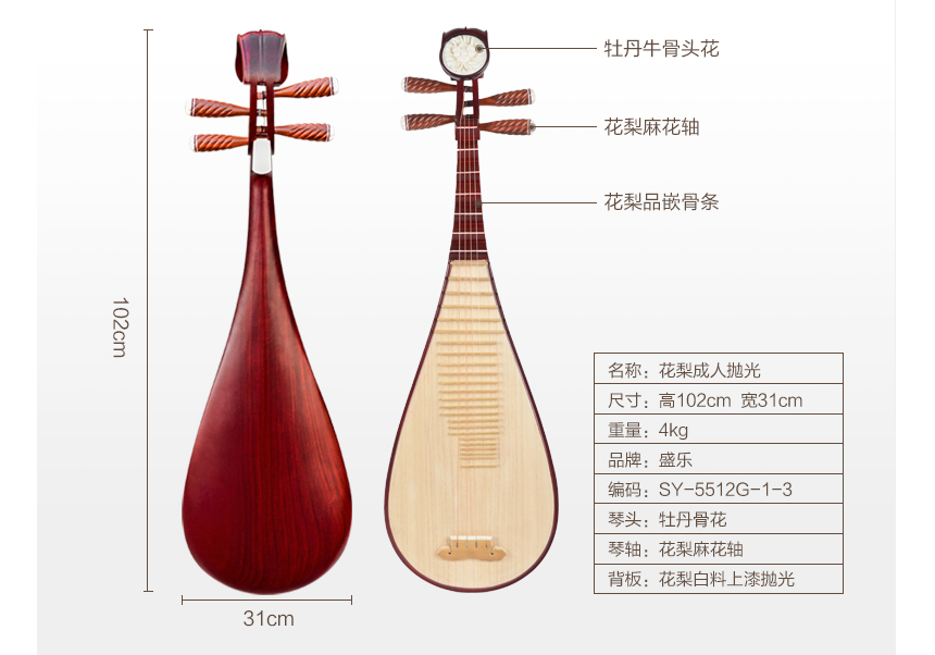 初学者该如何学习琵琶 看了这篇文章你就知道了