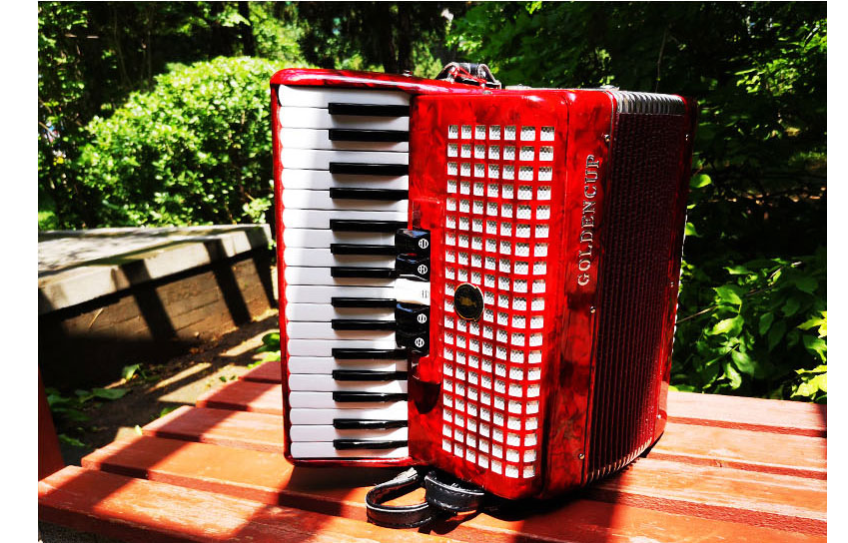 儿童几岁学手风琴最好 儿童学手风琴的好处 儿童几岁学手风琴最好 儿童学手风琴的好处