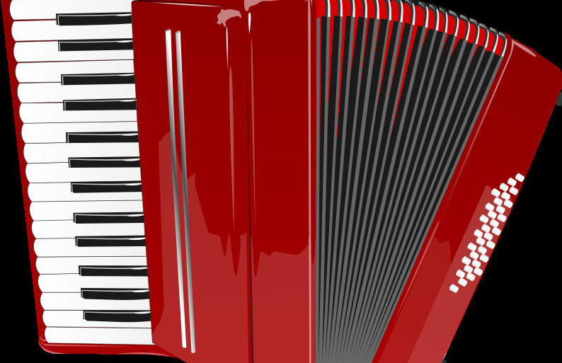 儿童几岁学手风琴最好 儿童学手风琴的好处 儿童几岁学手风琴最好 儿童学手风琴的好处