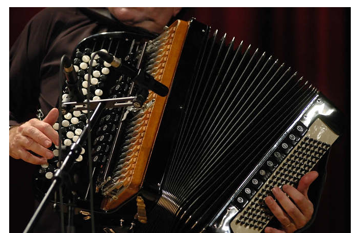 儿童几岁学手风琴最好 儿童学手风琴的好处 儿童几岁学手风琴最好 儿童学手风琴的好处