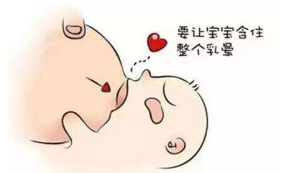 哺乳更轻松 乳头保护罩的那些小知识 哺乳更轻松 乳头保护罩的那些小知识