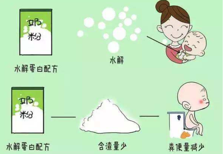 水解奶粉百科知识—你知道吗? 水解奶粉百科知识—你知道吗?