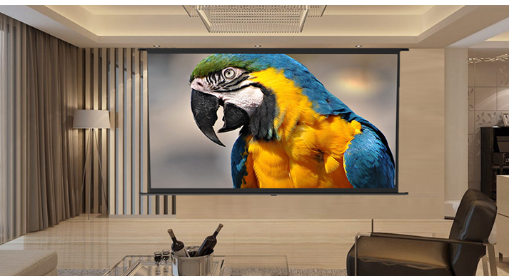 投影幕布什么材质好 投影幕布与白墙有什么区别 投影幕布什么材质好 投影幕布与白墙有什么区别