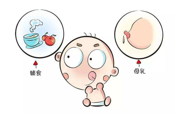 宝宝辅食怎么做？婴儿辅食机了解一下