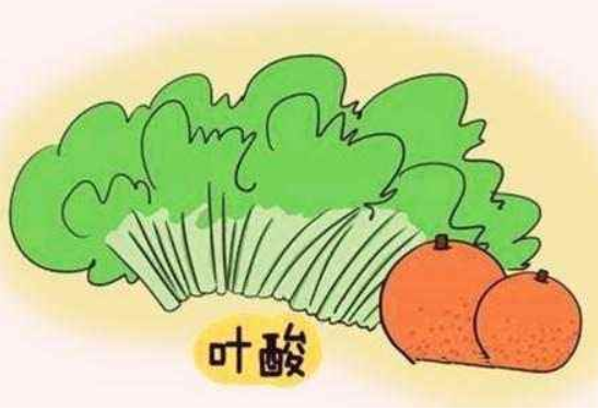 孕妈少不了—不得不了解的叶酸片小知识 孕妈少不了—不得不了解的叶酸片小知识