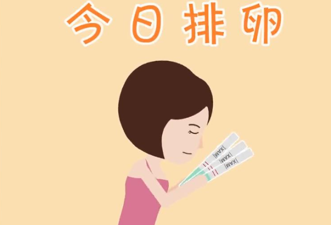 排卵试纸—夫妻备孕的小帮手