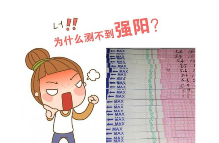 排卵试纸—夫妻备孕的小帮手 排卵试纸—夫妻备孕的小帮手