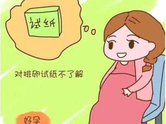 排卵试纸—夫妻备孕的小帮手 排卵试纸—夫妻备孕的小帮手