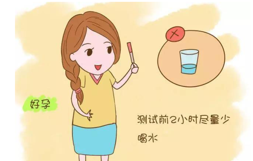 排卵试纸—夫妻备孕的小帮手 排卵试纸—夫妻备孕的小帮手